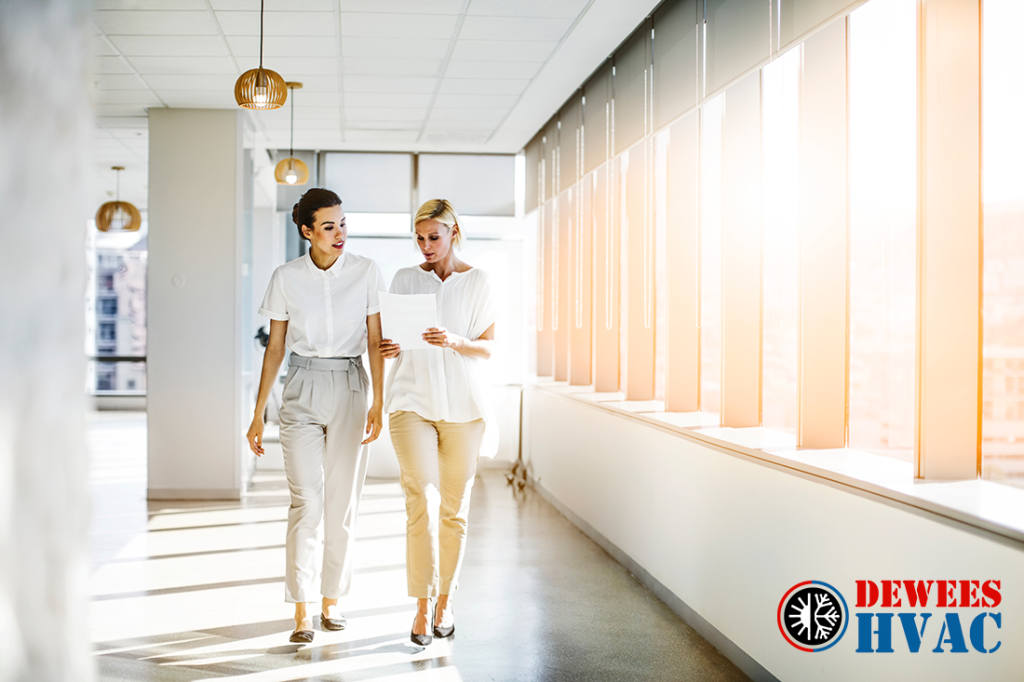 Female coworkers walking while discussing document in a sunny office hallway